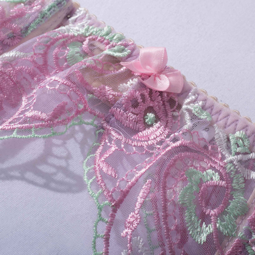 Sheer Mesh Sexy Lingerie Bra Set with Embroidered Flowers Waist Details